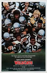 Wildcats poster